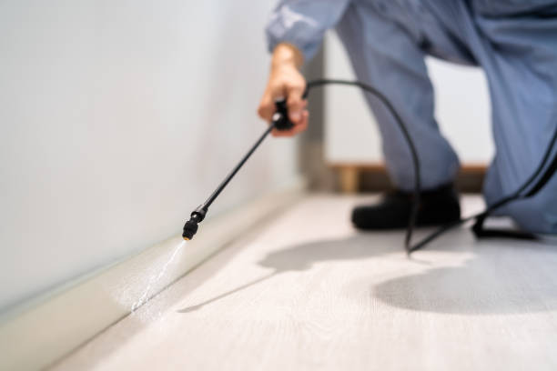 Licensed Pest Control service in Attica, MI - Show Me Pest Control