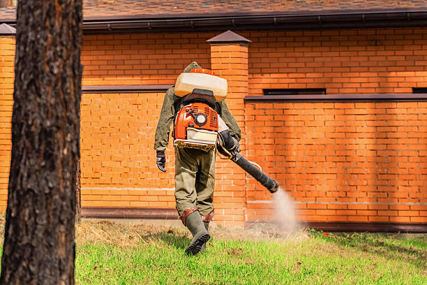 Bed Bug Clearance Verification and Documentation in Attica